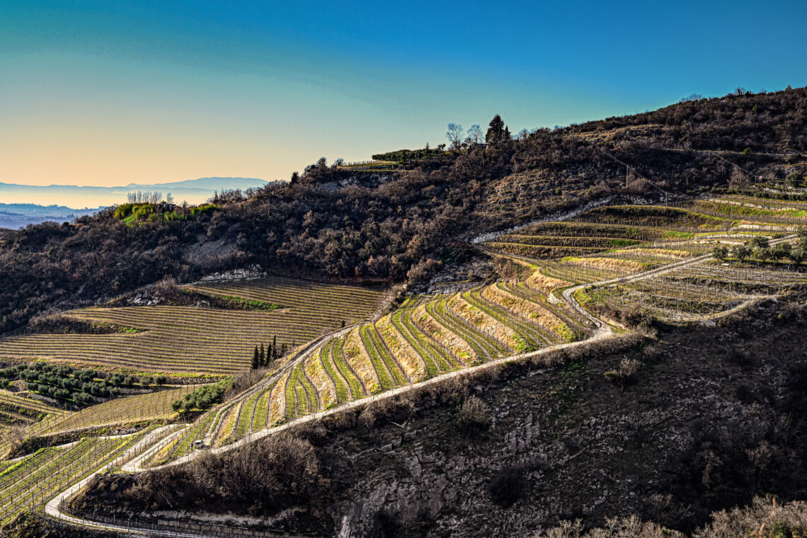 Valpolicella colline vitivinicole